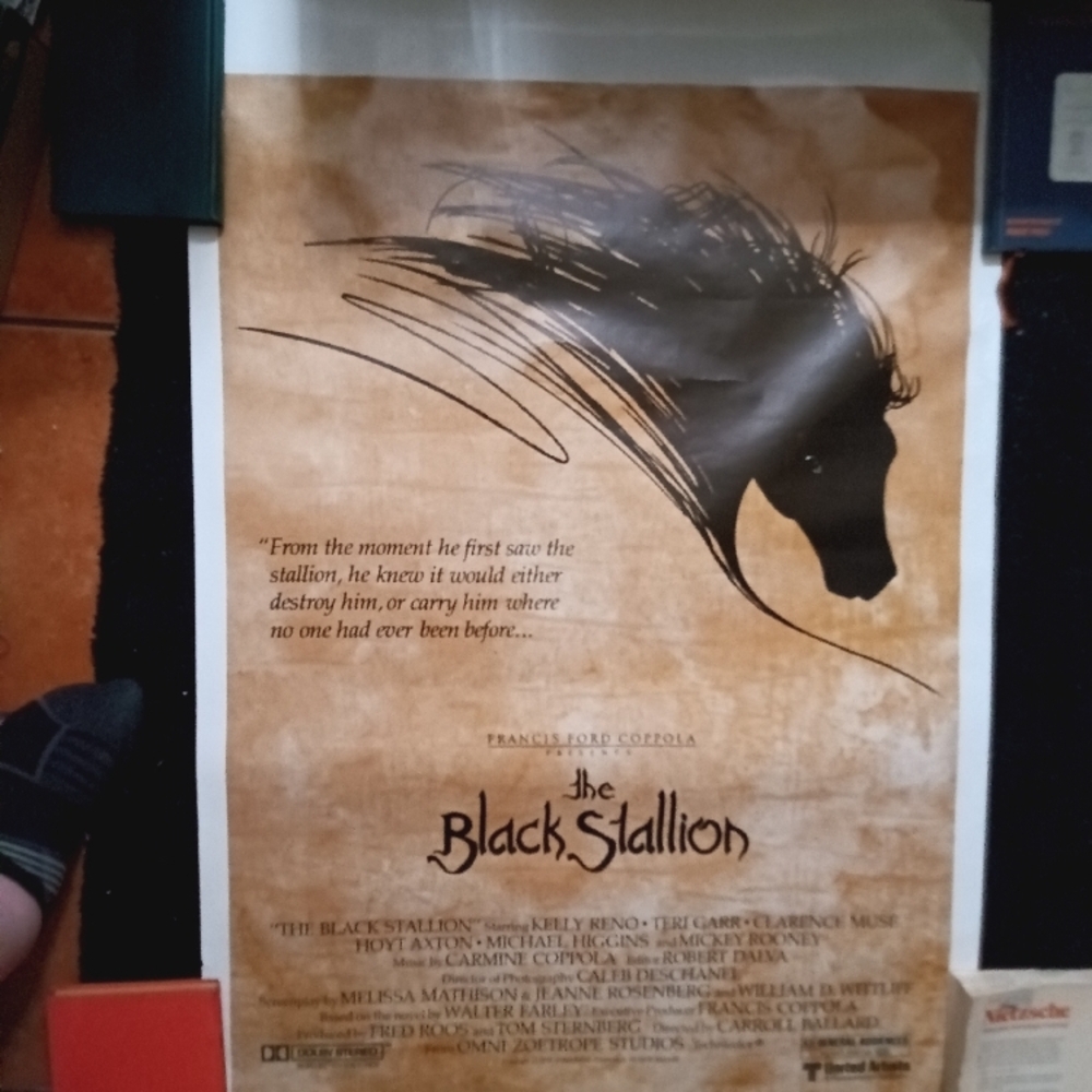 The Black Stallion Movie Poster